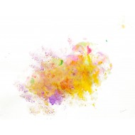 Created by bouncing balloons with paints on papaer