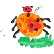 Use watercolor to paint a beetle