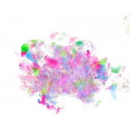 Created by bouncing balloons with paints on papaer