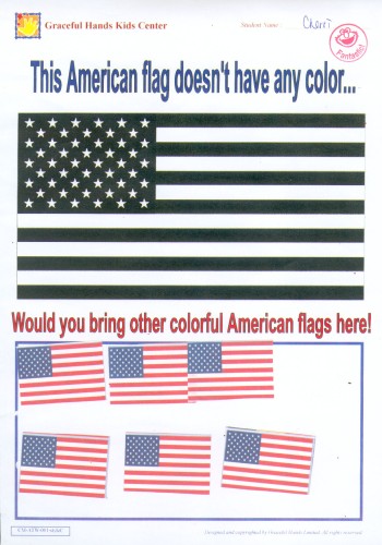 American Flag