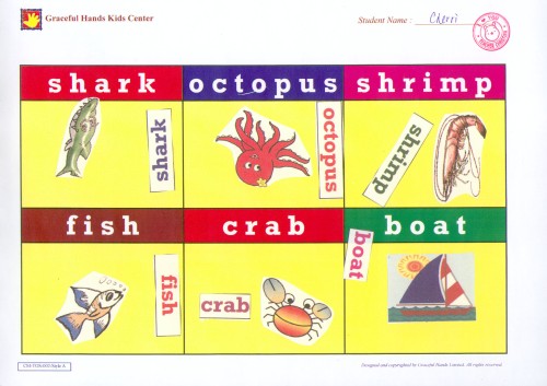 The Things in the Ocean