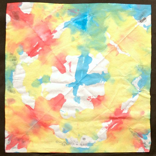 Fold and Dye Picture