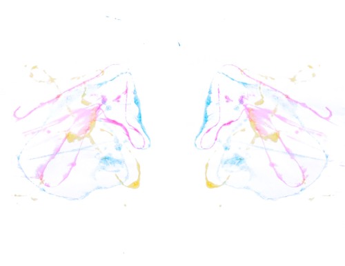 Symmetrical Color