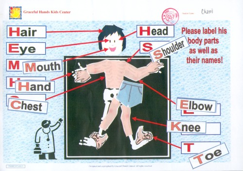 Body Parts