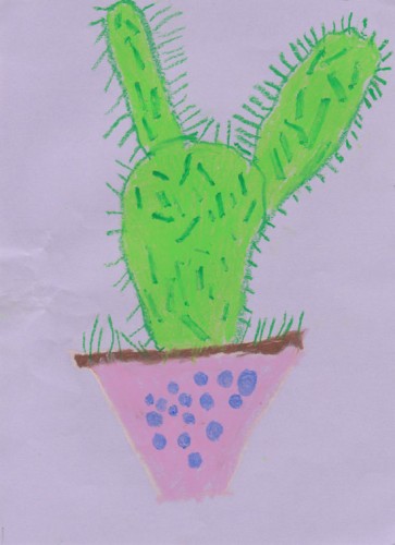 A Pot of Cactus